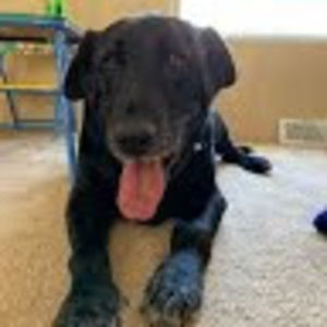 Meet your Posher, Holly